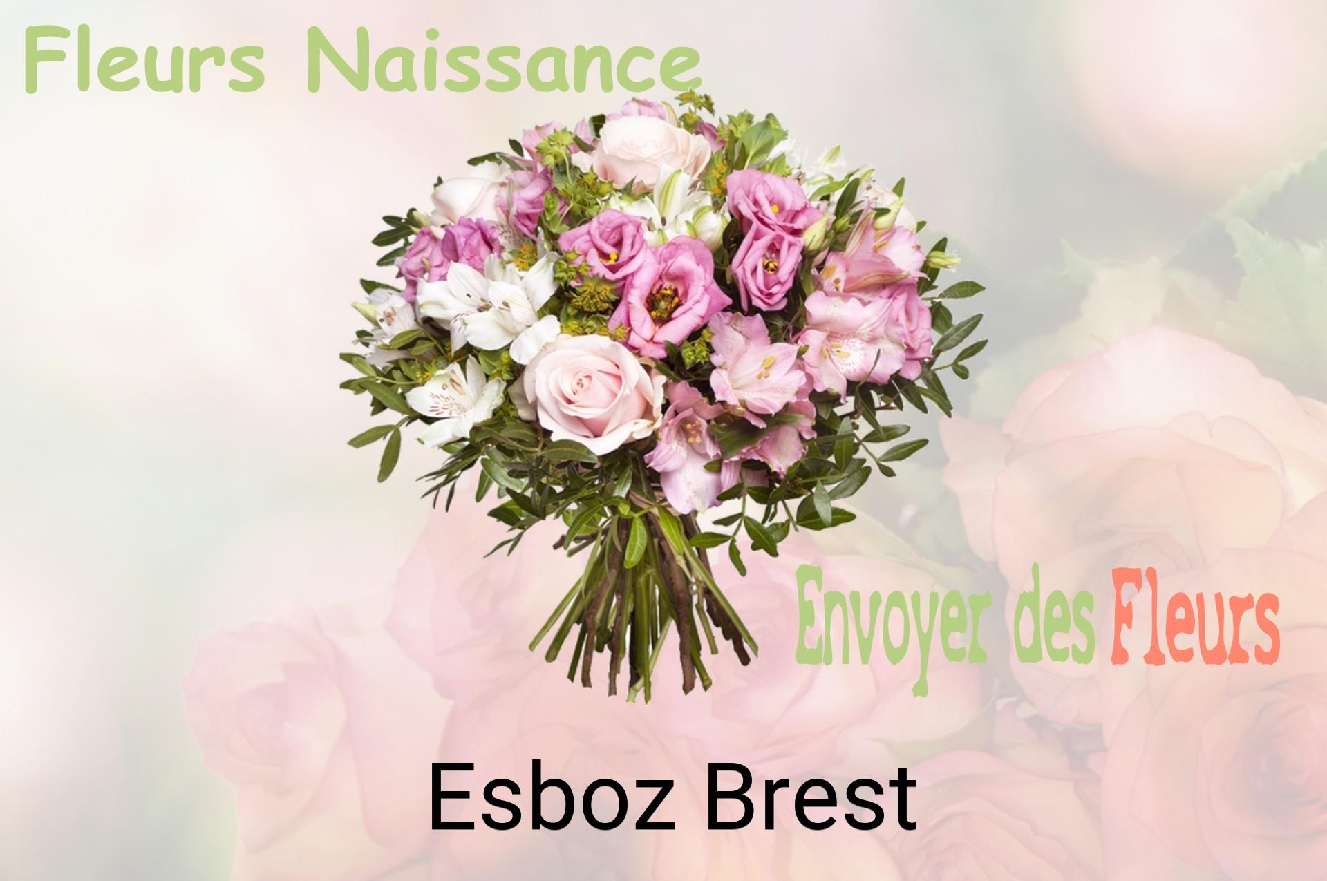 Bouquet de fleurs de naissance livré à Esboz-Brest