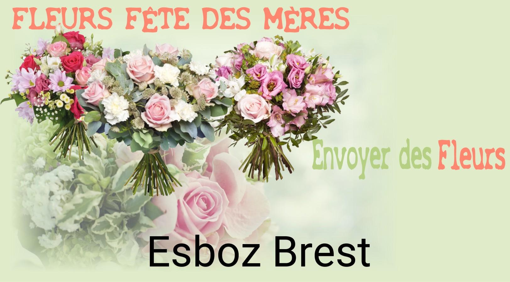Bouquet de Fête des Mères livré à Esboz-Brest